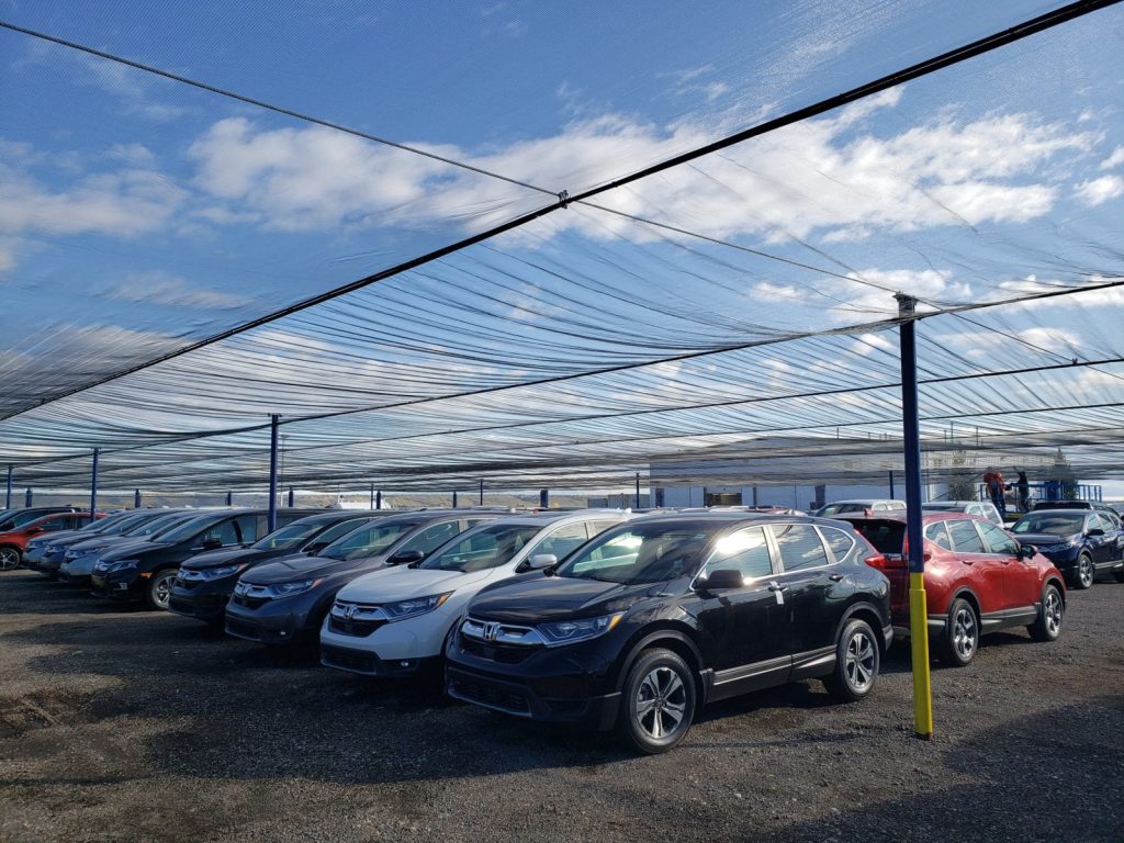 Several cars are parked under a large, netted canopy structure on a gravel lot
