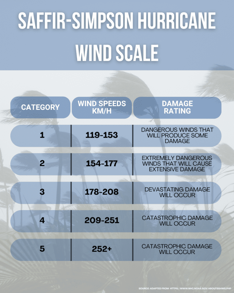Chart of the Saffir-Simpson Hurricane Wind Scale showing categories 1-5, their wind speeds in km/h, and associated damage ratings against a background of palm trees in wind.