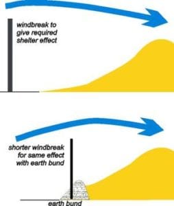 why have a windbreak