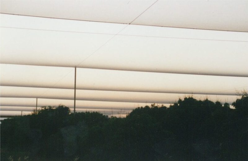 Parallel horizontal beams against a dusky sky with silhouetted trees below