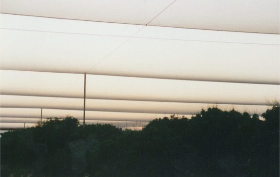 Parallel horizontal beams against a dusky sky with silhouetted trees below