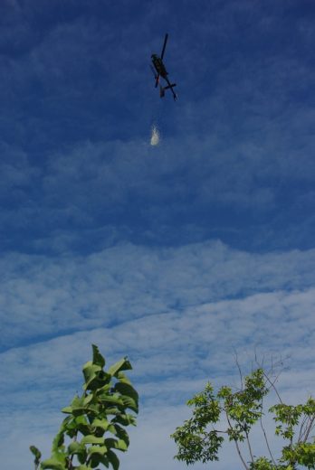 A helicopter releases a substance into the air above trees and clouds