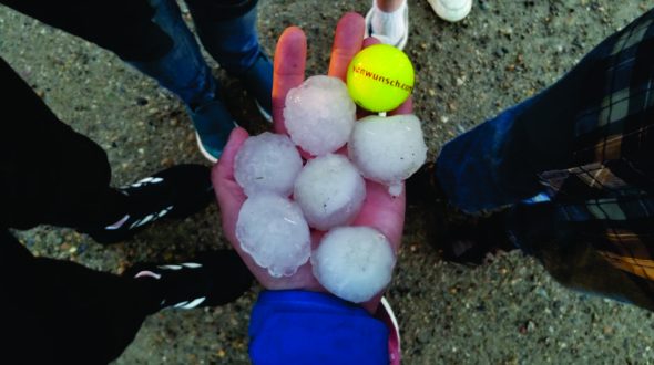 A hand holds several large hailstones next to a golf ball for size comparison