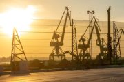 Cranes silhouetted against a sunset with a mesh fence in the foreground