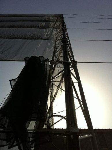 A tall metal structure with netting against a bright sky, likely a windbreak or canopy